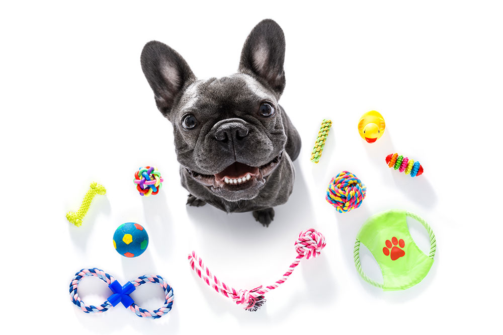 4 Best Brand Name Pet Toy Manufacturers