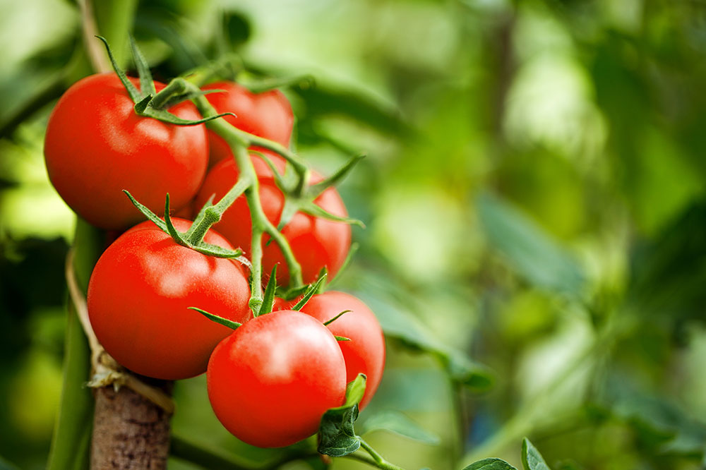 4 Effective Inflammation-fighting Foods
