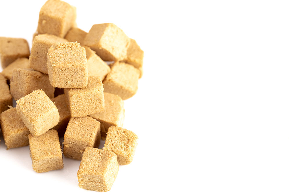 5 Dog Food Brands with High Protein